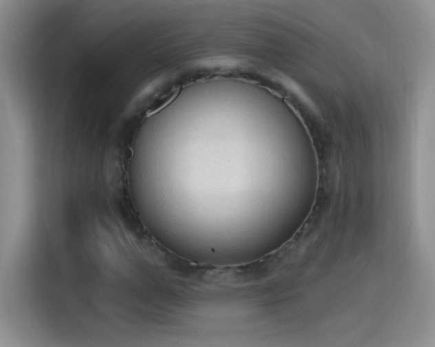 X0000115420967200911101628