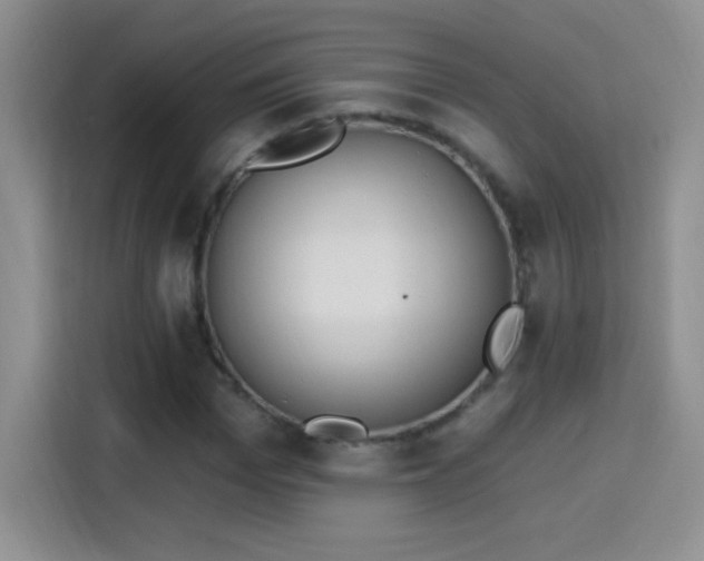 X0000115420969200911101628