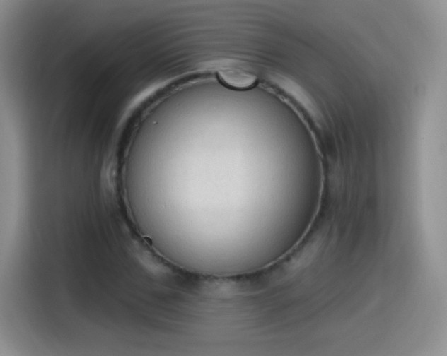 X0000115420971200911101628