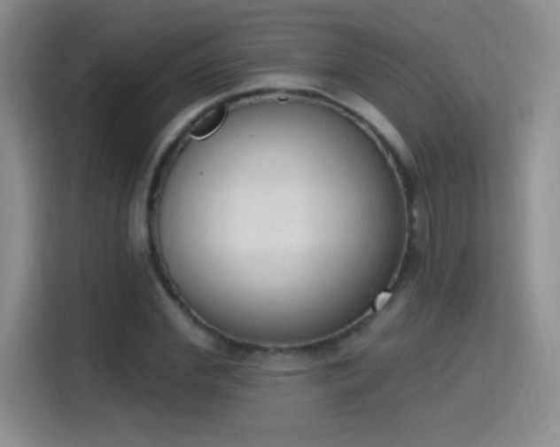 X0000115420972200911101628