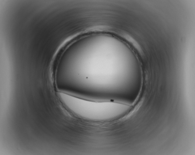 X0000115420973200911101628