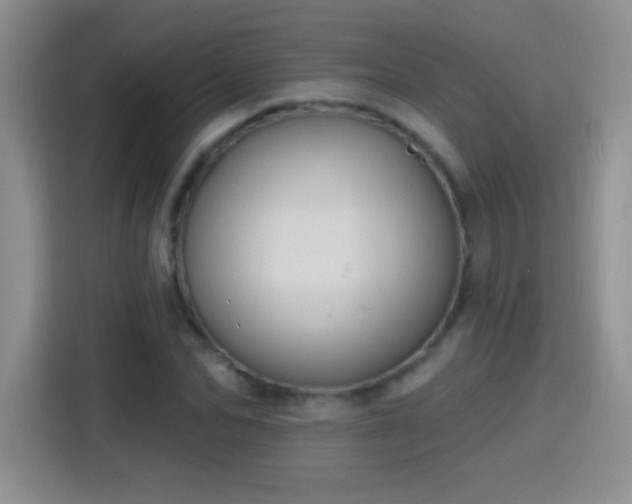 X0000115420974200911101628