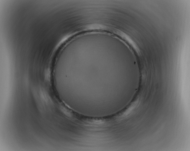 X0000115420975200911101628