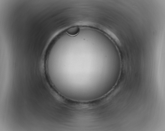 X0000115420976200911101628
