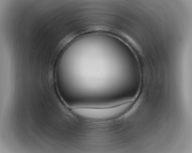 X0000115420977200911101628