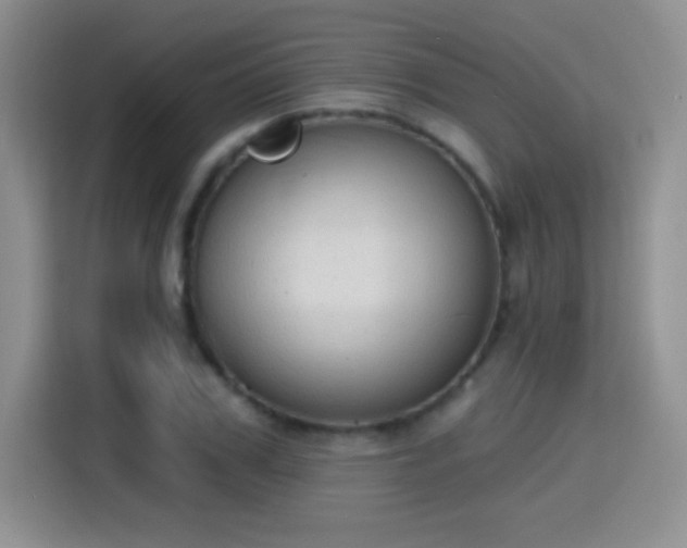 X0000115420979200911101628