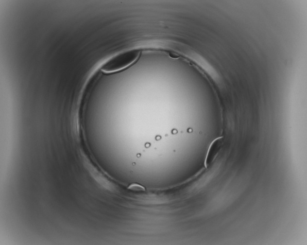 X0000115420980200911101628