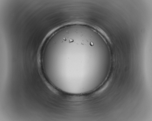 X0000115420981200911101628