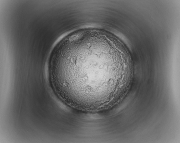 X0000115420983200911101628