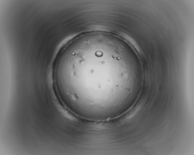 X0000115420987200911101628