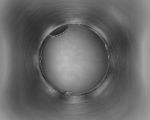 X0000115420989200911101628