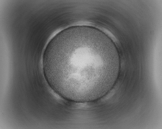 X0000115420990200911101628
