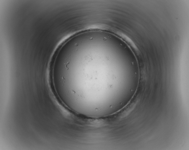 X0000115420991200911101628