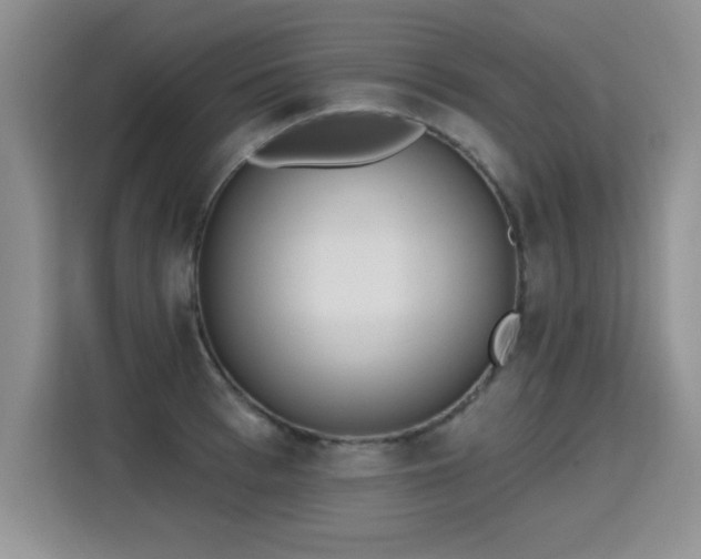 X0000115420993200911101628