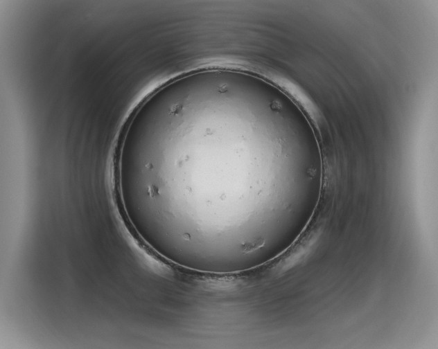 X0000115420999200911101628
