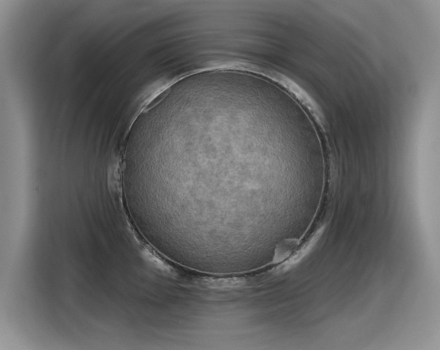 X0000115421001200911101628