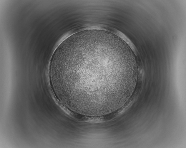 X0000115421002200911101628