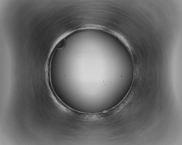X0000115421003200911101628