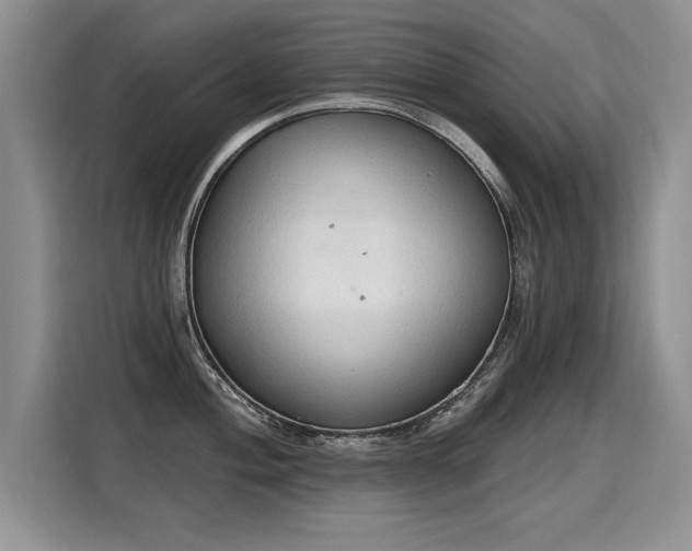 X0000115421004200911101628
