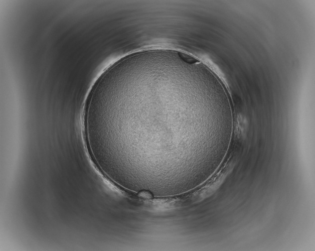 X0000115421005200911101628
