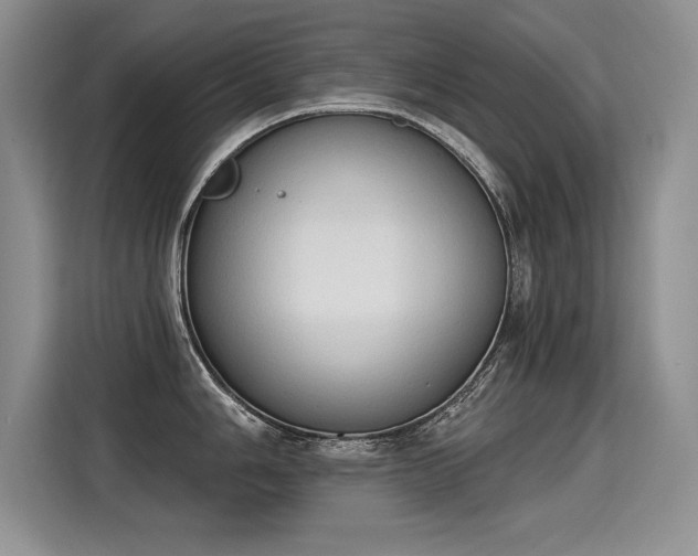 X0000115421006200911101628