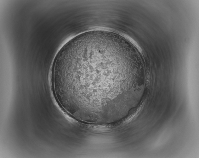 X0000115421007200911101628