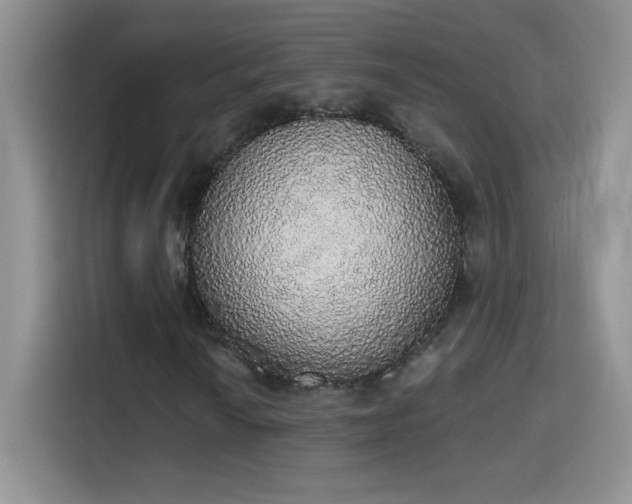 X0000115421010200911101627