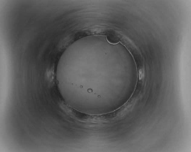 X0000115421011200911101627