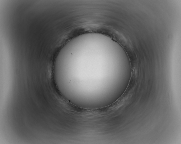 X0000115421012200911101627