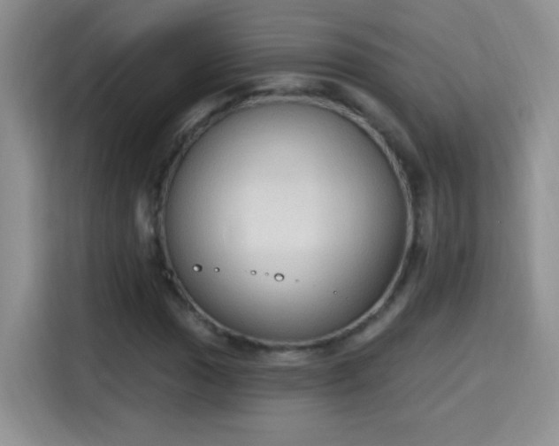 X0000115421017200911101627