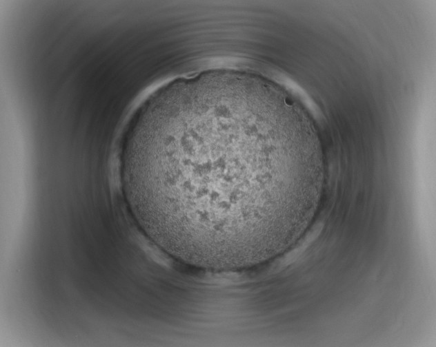 X0000115421019200911101627