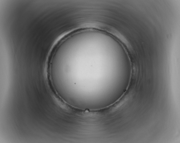 X0000115421020200911101627