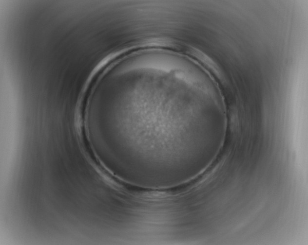 X0000115421024200911101627