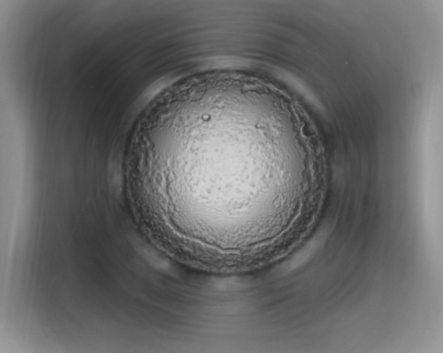 X0000115421025200911101627