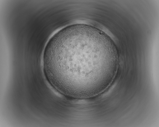 X0000115421028200911101627
