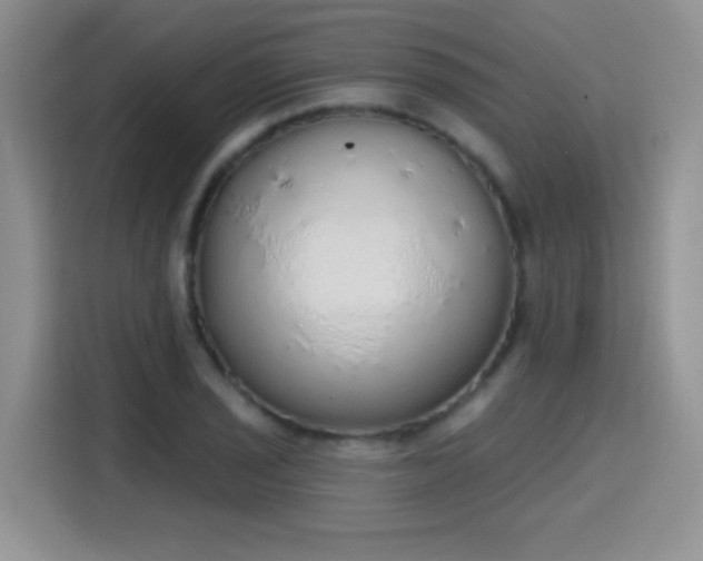 X0000115421029200911101627