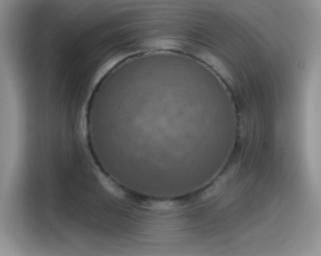 X0000115421031200911101627