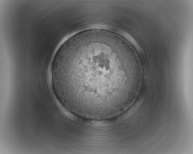 X0000115421032200911101627