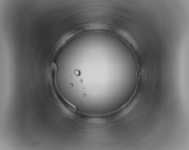 X0000115421033200911101627