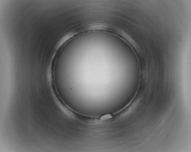 X0000115421034200911101627