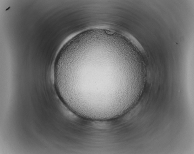 X0000115421036200911101627