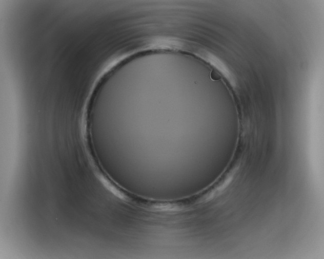 X0000115421037200911101627
