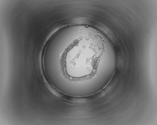 X0000115421039200911101627