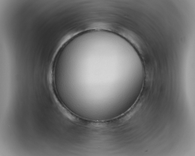 X0000115421040200911101627