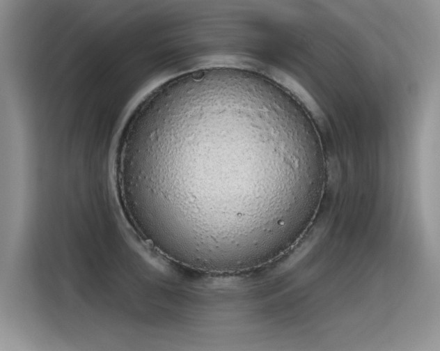 X0000115421043200911101627