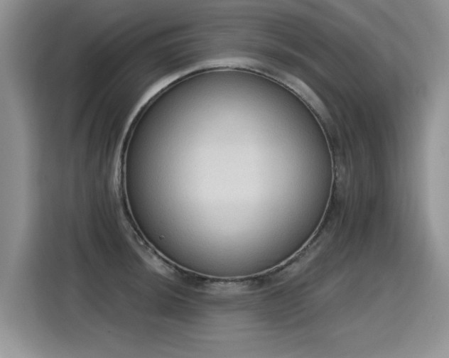 X0000115421044200911101627