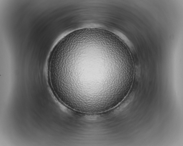 X0000115421046200911101627