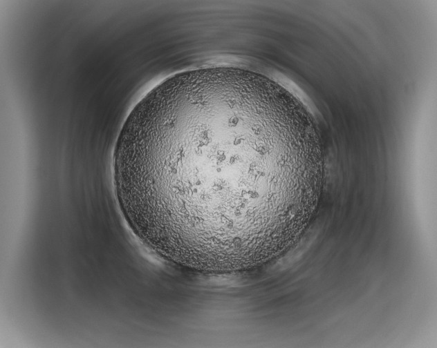 X0000115421047200911101627