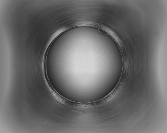 X0000115421050200911101628