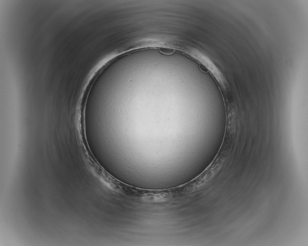 X0000115421051200911101628